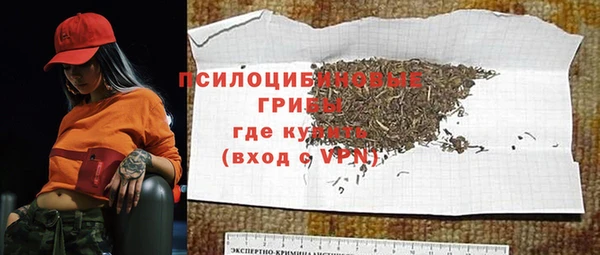 крисы Алексин