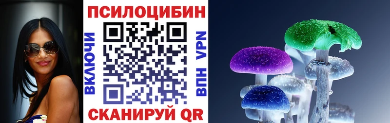 цена   Слободской  Псилоцибиновые грибы Psilocybe 